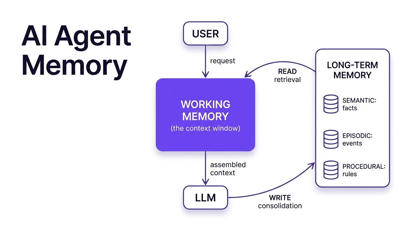 AI agent memory architecture loop: a user request enters working memory (the context window), which feeds the LLM; long-term memory stores (semantic facts, episodic events, procedural rules) are read into working memory via retrieval and written back via consolidation.