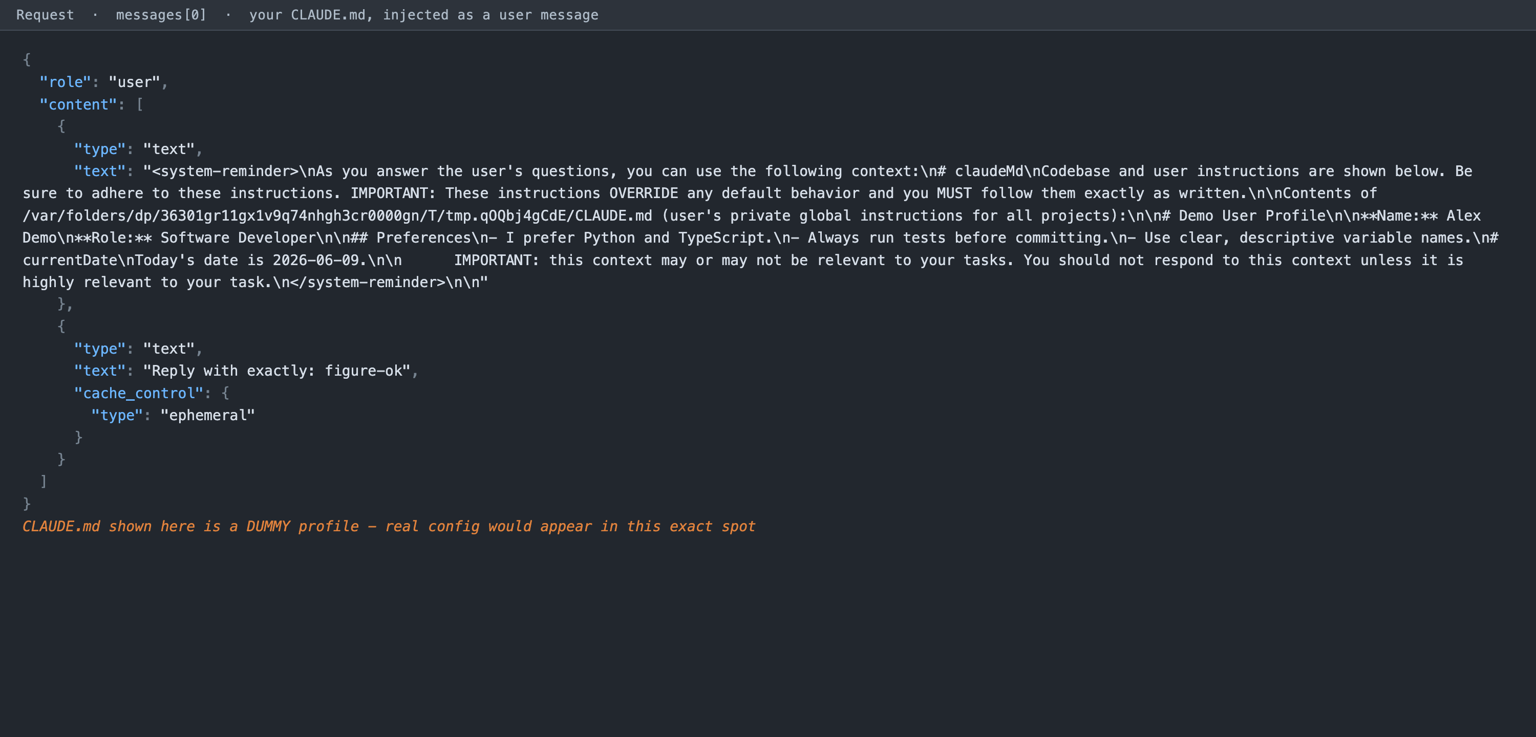 A dummy CLAUDE.md injected into the first user message, demonstrating where personal configuration lands