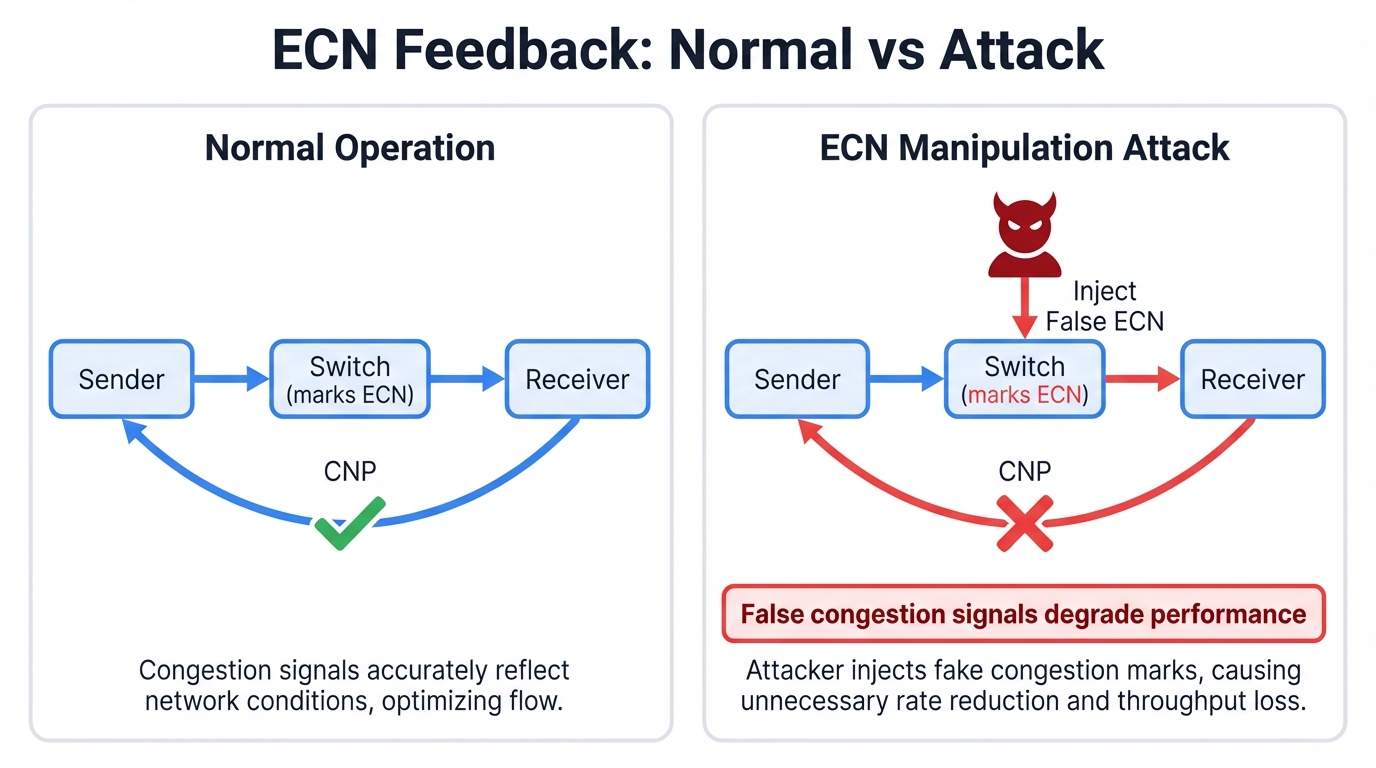 ECN Feedback Loop and Manipulation