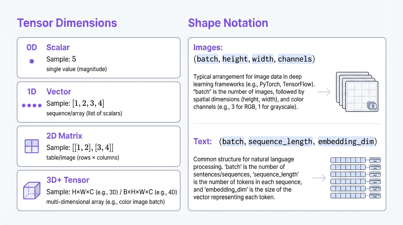 Tensor Dimensions and Shapes